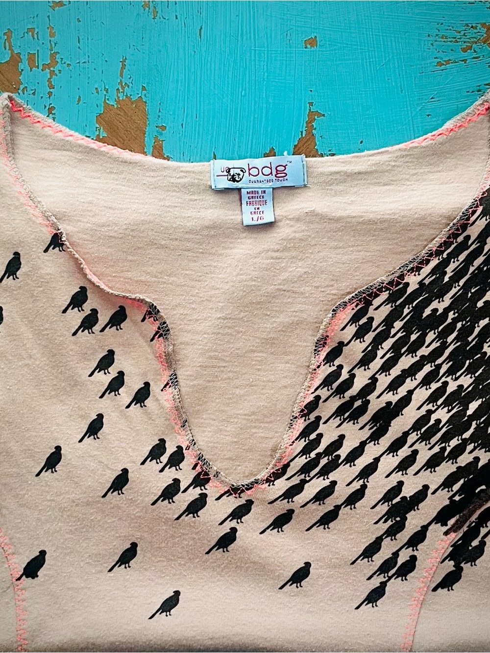 BDG Vintage Bird Print Tee with Coral Pink Contrast Stitching